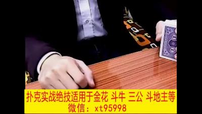 12、双天至尊排序教学.mp4