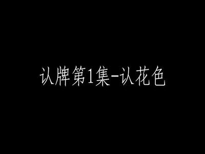 认牌第1集-认花色.mp4