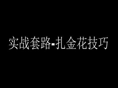 实战套路-扎金花技巧.mp4