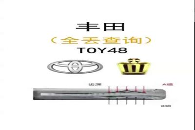 5、全丢查齿.mp4